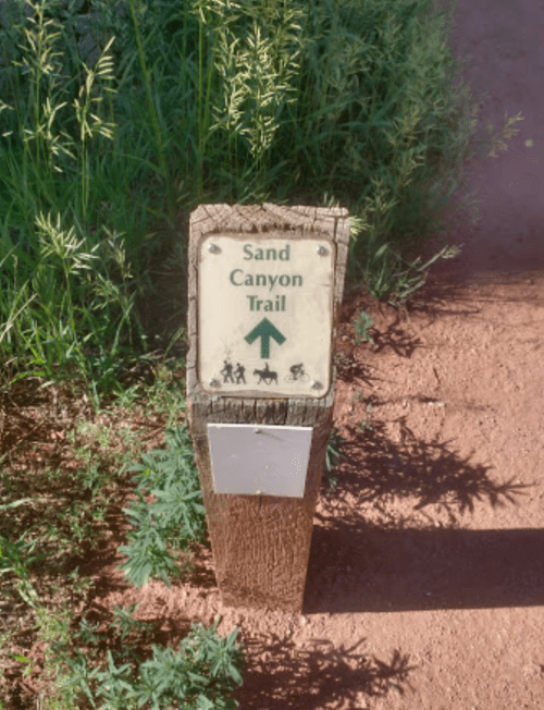 Signpost indicating the Sand Canyon Trail, with an arrow pointing upward, surrounded by greenery.