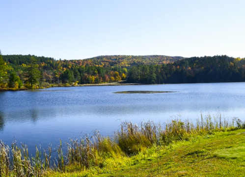 A serene lake surrounded by autumn foliage and green trees under a clear blue sky.
