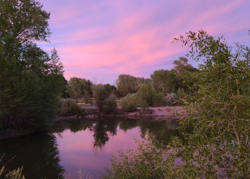 A serene river scene at sunset, with pink clouds reflecting on the water and lush greenery along the banks.