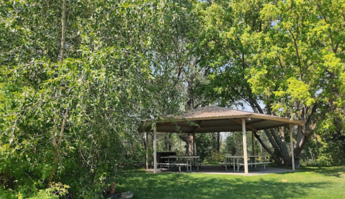 A shaded picnic pavilion surrounded by lush green trees and grass in a park setting.