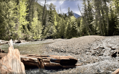 A serene river scene with lush green trees, a rocky shore, and a person in the distance enjoying nature.