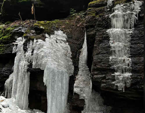 Icicles hanging from a rocky cliff, surrounded by moss and ice, creating a winter landscape.