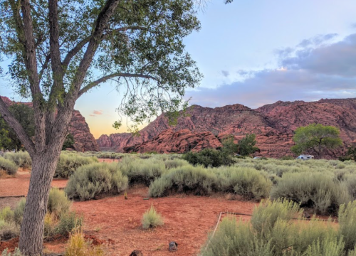 A scenic view of red rock formations and green shrubs under a colorful sky, with a tree in the foreground.