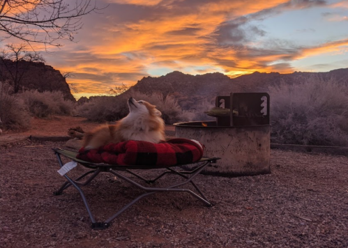 A dog relaxes on a cozy bed near a campfire, with a stunning sunset and mountains in the background.