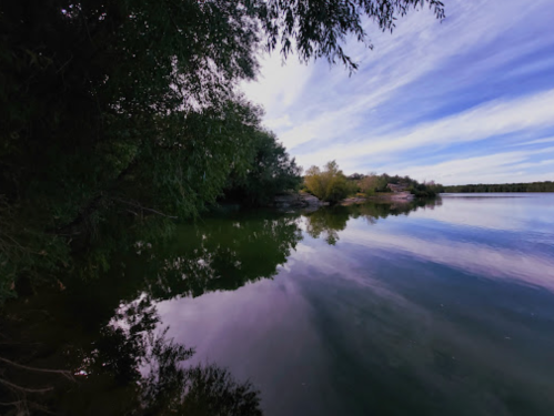 A serene lake scene with trees reflecting on the water under a blue sky with wispy clouds.