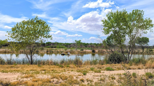 A serene landscape featuring a calm pond surrounded by lush greenery and blue skies with scattered clouds.