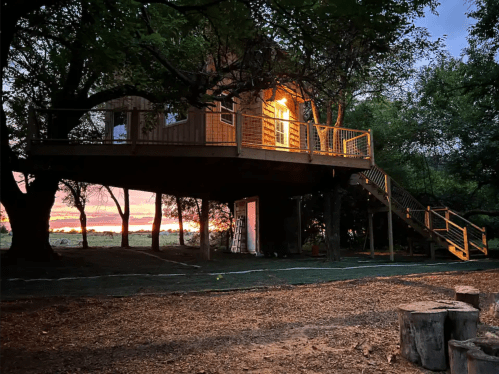 A cozy treehouse illuminated at sunset, surrounded by trees and a grassy area with logs in the foreground.