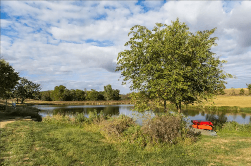A serene landscape featuring a calm pond, lush greenery, and a tree under a partly cloudy sky.