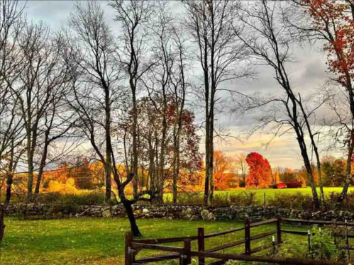 A serene landscape featuring bare trees, colorful autumn foliage, and a grassy field under a cloudy sky.