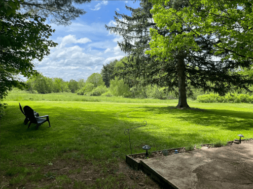 A serene outdoor scene featuring a green lawn, a large tree, and a blue sky with scattered clouds.