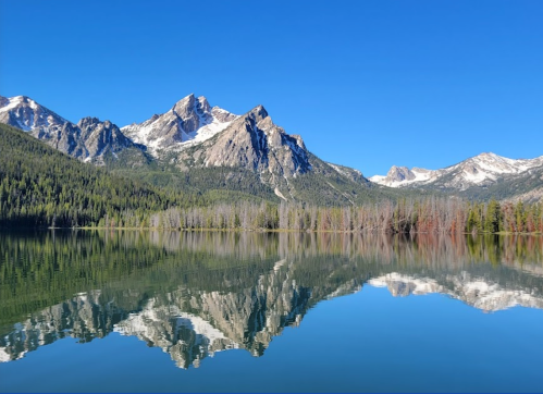 A serene lake reflects majestic mountains under a clear blue sky, surrounded by lush green forests.