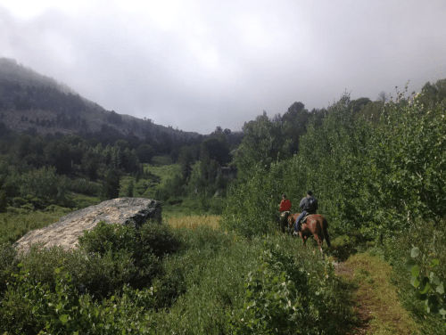 Two riders on horseback navigate a narrow path through lush greenery and trees, with a rocky outcrop nearby.
