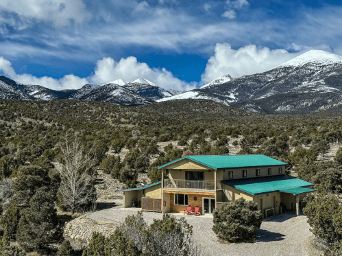 A spacious house with a green roof surrounded by trees, set against a backdrop of snow-capped mountains and blue skies.