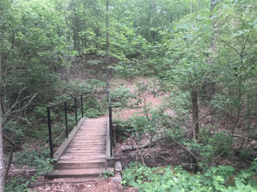 A wooden bridge spans a small creek, surrounded by lush green trees and foliage in a serene forest setting.