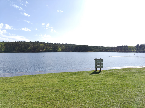 A serene lake surrounded by greenery, with a wooden signpost on the grassy shore under a clear blue sky.