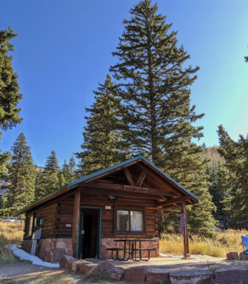 A rustic log cabin surrounded by tall pine trees under a clear blue sky. A picnic table is in front.