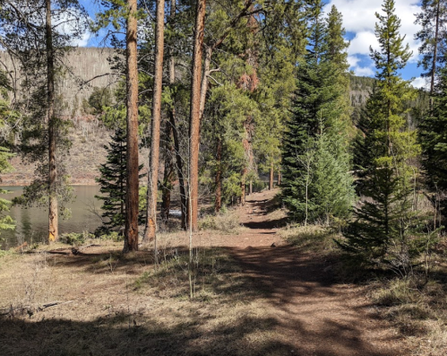 A serene forest path lined with tall trees, leading to a calm lake under a blue sky with scattered clouds.