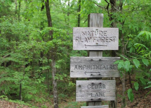 Wooden signpost in a green forest, pointing to Nature Play Forest, Amphitheatre, and Cedar Lane.