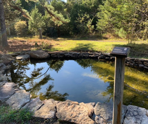 A serene pond surrounded by trees and rocks, with a signpost nearby in a natural setting.