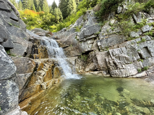 A serene waterfall cascading over rocky terrain into a clear pool, surrounded by lush greenery and tall trees.