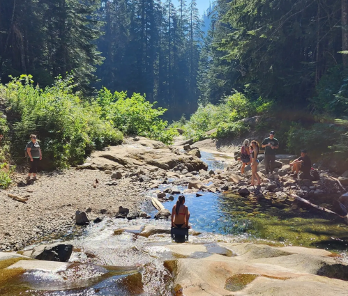 A group of people enjoying a sunny day by a stream surrounded by trees and rocky terrain.