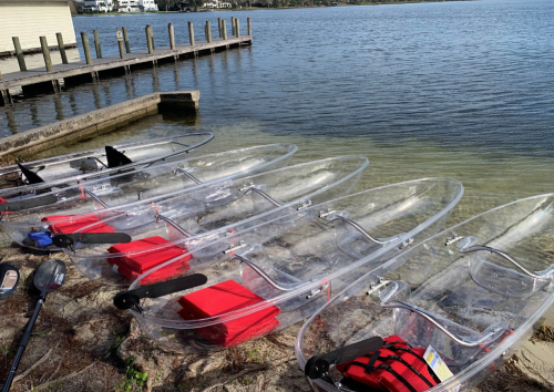 Clear kayaks lined up on a shore with red life jackets, beside a calm waterway and a wooden dock in the background.