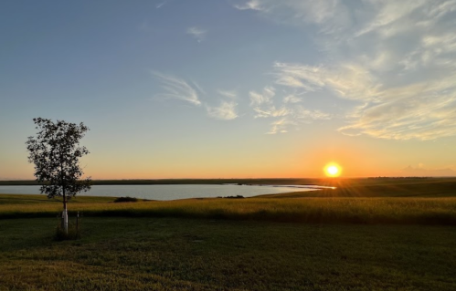A serene landscape at sunset, featuring a tree, grassy field, and calm water reflecting the colorful sky.