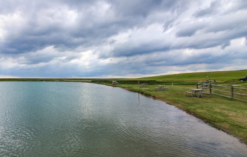 A serene lake surrounded by green grass and picnic tables, under a cloudy sky.