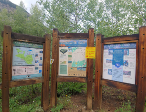 Three wooden information boards display maps and guidelines for Mt. Belford and Mt. Oxford in a forested area.