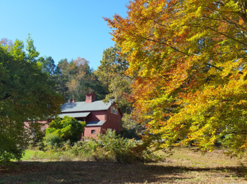 A red house surrounded by vibrant autumn trees and clear blue skies.