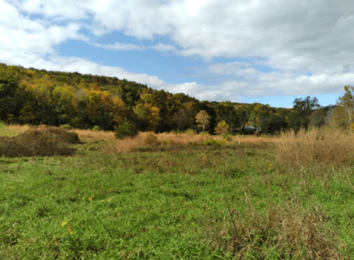 A scenic landscape featuring grassy fields, autumn foliage, and a partly cloudy sky.