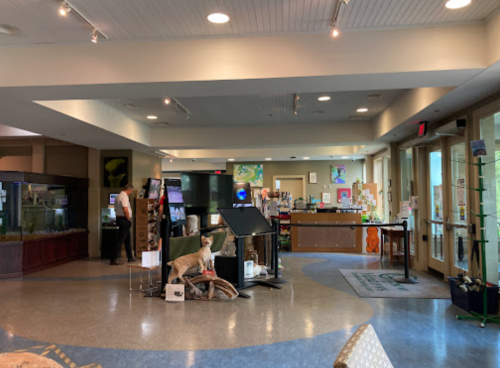 Interior of a visitor center with displays, a café area, and a taxidermy animal in the foreground.