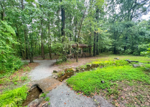 A serene forest scene with a gravel path, lush greenery, and a wooden gazebo surrounded by trees.