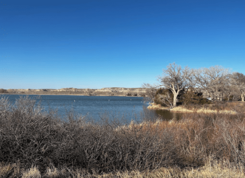 A serene lake surrounded by dry shrubs and trees, with clear blue skies and distant hills in the background.