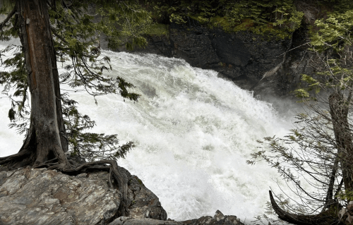 Rushing water flows through a rocky riverbank, surrounded by lush green trees.