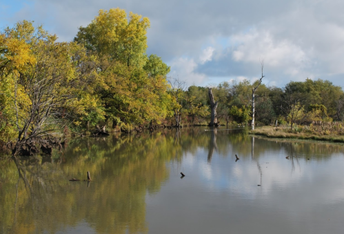A serene river scene with autumn trees reflecting in the water under a partly cloudy sky.