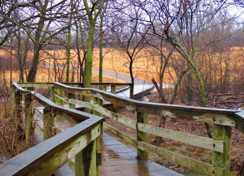 A winding wooden boardwalk through bare trees, leading to a grassy field under a cloudy sky.