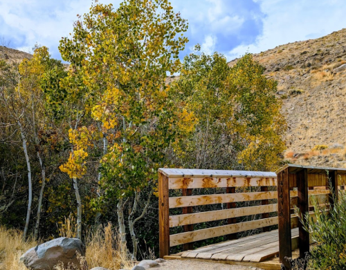 A wooden bridge surrounded by trees with autumn foliage in a scenic landscape.
