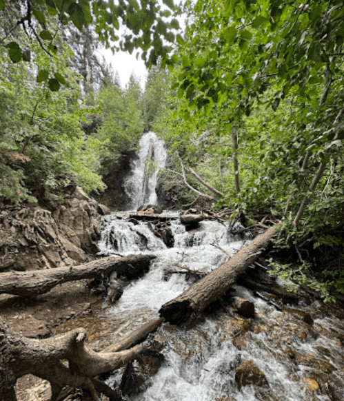 A serene waterfall cascades through lush greenery, surrounded by rocks and fallen logs in a tranquil forest setting.