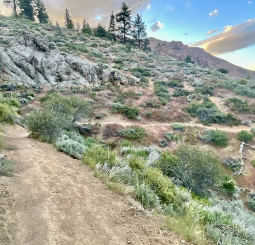 A winding dirt path through a rocky, green hillside under a blue sky with scattered clouds.