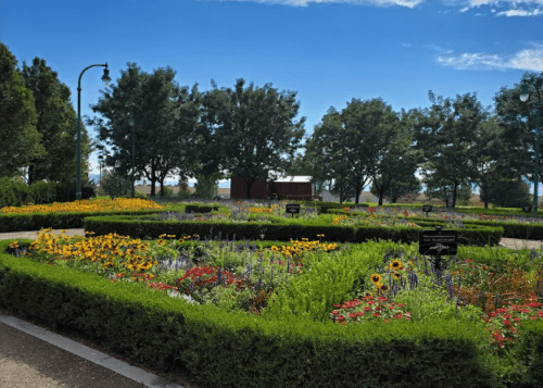 A vibrant garden filled with colorful flowers and lush greenery under a clear blue sky.
