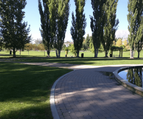 A serene park scene with tall trees, a curved pathway, and a pond reflecting the clear blue sky.
