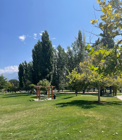 A sunny park scene with green grass, tall trees, and a gazebo under a clear blue sky.
