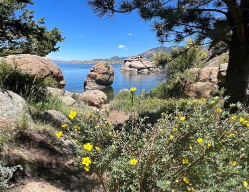 A serene lakeside scene with yellow flowers in the foreground, rocky formations, and mountains in the background under a clear blue sky.