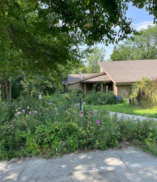 A house partially obscured by trees and overgrown plants, with a pathway leading up to it on a sunny day.