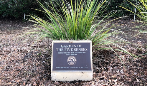 A plaque reading "Garden of the Five Senses" dedicated to Jean Brun, surrounded by grass and leaves.