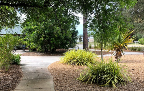 A landscaped path winds through greenery and plants in a serene outdoor setting.