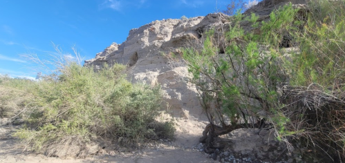 A rocky cliffside with sparse vegetation and blue sky in the background, showcasing a desert landscape.