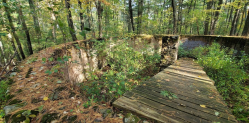 A weathered, circular stone structure surrounded by trees and overgrown vegetation, with a wooden path leading through.