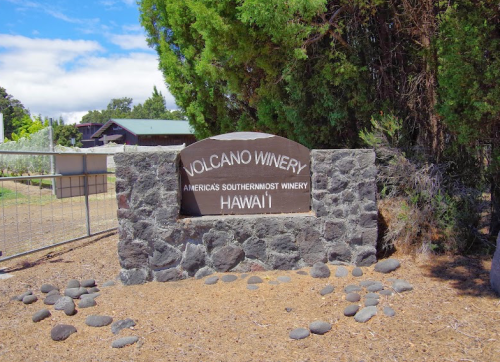 Sign for Volcano Winery in Hawaii, featuring stone structure and surrounded by greenery.